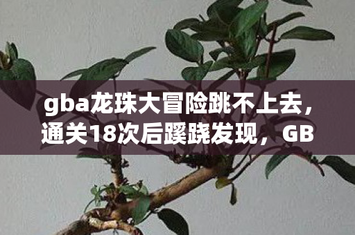 gba龙珠大冒险跳不上去,通关18次后蹊跷发现,GBA龙珠大冒险竟让我后背发凉十年! gba龙珠大冒险跳不上去,通关18次后蹊跷发现,GBA龙珠大冒险竟让我后背发凉十年!