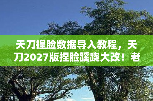 天刀捏脸数据导入教程,天刀2027版捏脸蹊跷大改!老玩家直呼这还是我的江湖? 天刀捏脸数据导入教程,天刀2027版捏脸蹊跷大改!老玩家直呼这还是我的江湖?