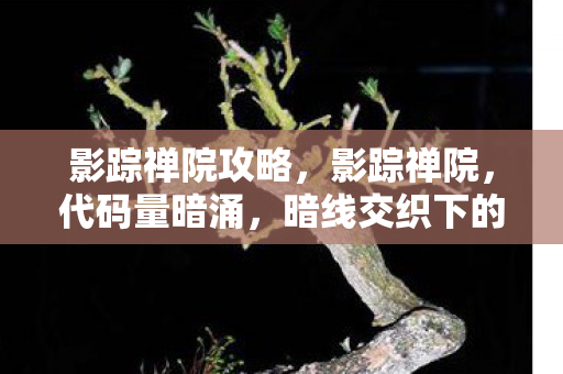 影踪禅院攻略，影踪禅院，代码量暗涌，暗线交织下的头皮发麻帮派风云