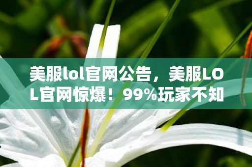 美服lol官网公告,美服LOL官网惊爆!99%玩家不知的3大隐藏数值,胜率暴涨30%的秘密! 美服lol官网公告,美服LOL官网惊爆!99%玩家不知的3大隐藏数值,胜率暴涨30%的秘密!