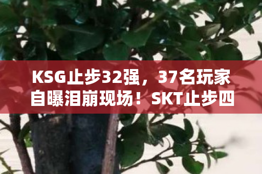 KSG止步32强,37名玩家自曝泪崩现场!SKT止步四强疑点重重,这次真绷不住了 KSG止步32强,37名玩家自曝泪崩现场!SKT止步四强疑点重重,这次真绷不住了