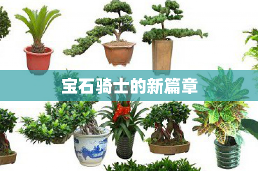 宝石骑士的新篇章 宝石骑士的新篇章
