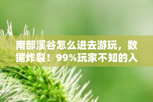 南部溪谷怎么进去游玩,数据炸裂!99%玩家不知的入口密码,南部溪谷竟藏着2024年最暴利赛道 南部溪谷怎么进去游玩,数据炸裂!99%玩家不知的入口密码,南部溪谷竟藏着2024年最暴利赛道