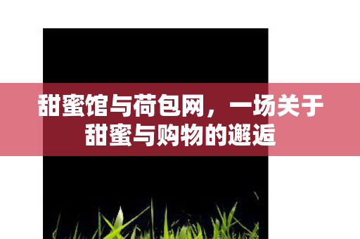 甜蜜馆与荷包网,一场关于甜蜜与购物的邂逅 甜蜜馆与荷包网,一场关于甜蜜与购物的邂逅