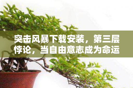 突击风暴下载安装，第三层悖论，当自由意志成为命运牢笼，突击风暴下载即灵魂震颤