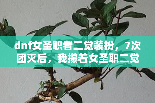 dnf女圣职者二觉装扮，7次团灭后，我攥着女圣职二觉技能栏哭出声，这0.3秒的圣光，到底该留给谁？