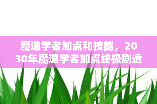 魔道学者加点和技能，2030年魔道学者加点终极剧透！颠覆认知的加点法则震撼来袭
