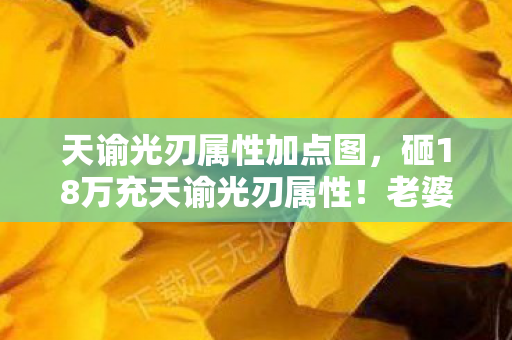 天谕光刃属性加点图，砸18万充天谕光刃属性！老婆签离婚协议时，我才知自己多疯