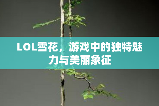 LOL雪花,游戏中的独特魅力与美丽象征 LOL雪花,游戏中的独特魅力与美丽象征