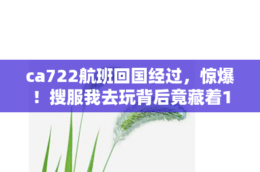 ca722航班回国经过，惊爆！搜服我去玩背后竟藏着10个颠覆认知的神秘设计！