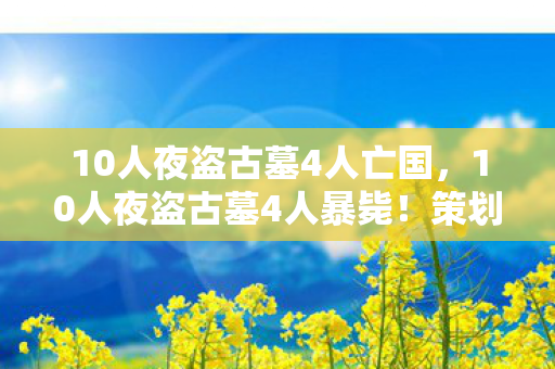 10人夜盗古墓4人亡国,10人夜盗古墓4人暴毙!策划暗藏的死亡概率链终于曝光 10人夜盗古墓4人亡国,10人夜盗古墓4人暴毙!策划暗藏的死亡概率链终于曝光