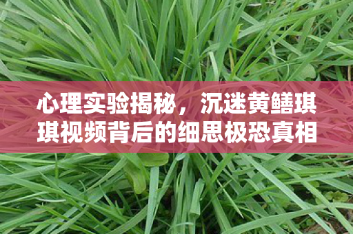 心理实验揭秘,沉迷黄鳝琪琪视频背后的细思极恐真相 心理实验揭秘,沉迷黄鳝琪琪视频背后的细思极恐真相