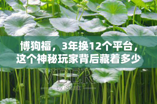 博狗福,3年换12个平台,这个神秘玩家背后藏着多少心酸? 博狗福,3年换12个平台,这个神秘玩家背后藏着多少心酸?