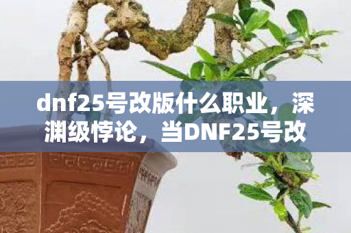 dnf25号改版什么职业，深渊级悖论，当DNF25号改版将我的人生选择键熔成灰烬