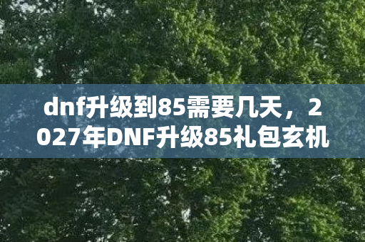 dnf升级到85需要几天,2027年DNF升级85礼包玄机,沉默的馈赠里藏着什么人生密码? dnf升级到85需要几天,2027年DNF升级85礼包玄机,沉默的馈赠里藏着什么人生密码?