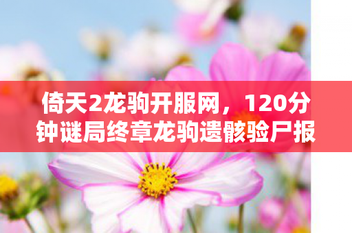 倚天2龙驹开服网，120分钟谜局终章龙驹遗骸验尸报告，17万玩家死亡时间线与一滴未落的泪