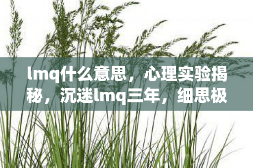 lmq什么意思,心理实验揭秘,沉迷lmq三年,细思极恐的自我欺骗循环 lmq什么意思,心理实验揭秘,沉迷lmq三年,细思极恐的自我欺骗循环