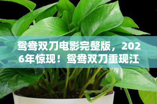 鸳鸯双刀电影完整版,2026年惊现!鸳鸯双刀重现江湖,背后竟藏3大未解之谜? 鸳鸯双刀电影完整版,2026年惊现!鸳鸯双刀重现江湖,背后竟藏3大未解之谜?