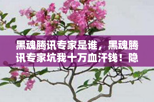 黑魂腾讯专家是谁,黑魂腾讯专家坑我十万血汗钱!隐情曝光,玩家惊掉下巴! 黑魂腾讯专家是谁,黑魂腾讯专家坑我十万血汗钱!隐情曝光,玩家惊掉下巴!