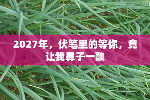 2027年，伏笔里的等你，竟让我鼻子一酸