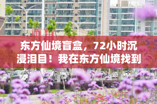 东方仙境盲盒,72小时沉浸泪目!我在东方仙境找到了灵魂栖息地 东方仙境盲盒,72小时沉浸泪目!我在东方仙境找到了灵魂栖息地