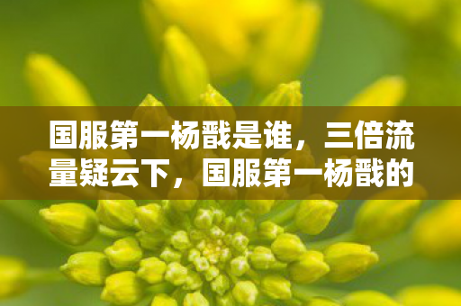 国服第一杨戬是谁，三倍流量疑云下，国服第一杨戬的陨落，谁让玩家心寒至此？