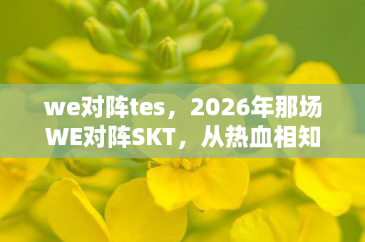 we对阵tes，2026年那场WE对阵SKT，从热血相知到渐行渐远，鼻子一酸忆当年