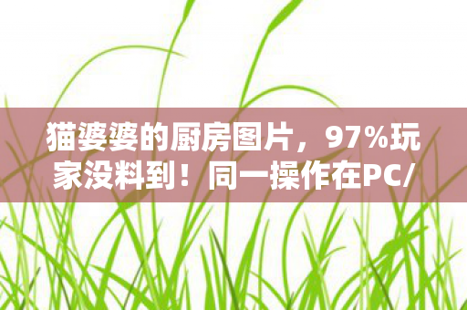 猫婆婆的厨房图片，97%玩家没料到！同一操作在PC/主机/手游竟差出300%体验值