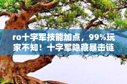 ro十字军技能加点,99%玩家不知!十字军隐藏暴击链+300%伤害的暗改真相 ro十字军技能加点,99%玩家不知!十字军隐藏暴击链+300%伤害的暗改真相