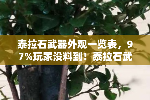 泰拉石武器外观一览表,97%玩家没料到!泰拉石武器在主机端竟比手游慢3倍?这操作反差绝了 泰拉石武器外观一览表,97%玩家没料到!泰拉石武器在主机端竟比手游慢3倍?这操作反差绝了