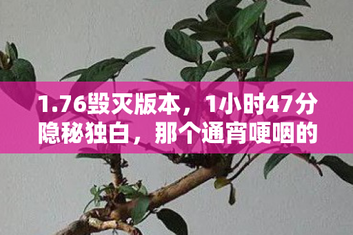 1.76毁灭版本,1小时47分隐秘独白,那个通宵哽咽的1.76毁灭夜 1.76毁灭版本,1小时47分隐秘独白,那个通宵哽咽的1.76毁灭夜