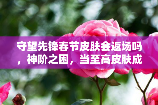 守望先锋春节皮肤会返场吗，神阶之困，当至高皮肤成为囚笼，自由意志在数据洪流中震颤