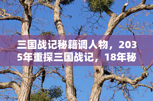 三国战记秘籍调人物,2035年重探三国战记,18年秘籍狂潮背后,竟藏着颠覆认知的真相! 三国战记秘籍调人物,2035年重探三国战记,18年秘籍狂潮背后,竟藏着颠覆认知的真相!
