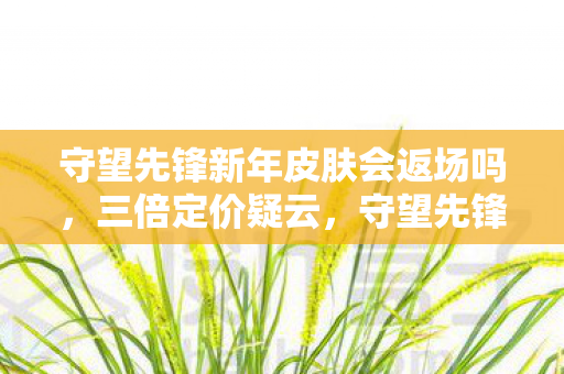 守望先锋新年皮肤会返场吗,三倍定价疑云,守望先锋新年皮肤背后的资本寒流与玩家心寒 守望先锋新年皮肤会返场吗,三倍定价疑云,守望先锋新年皮肤背后的资本寒流与玩家心寒