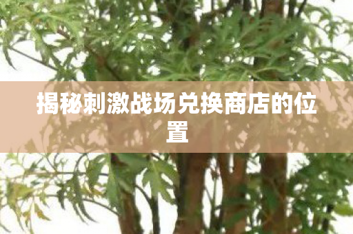 揭秘刺激战场兑换商店的位置 揭秘刺激战场兑换商店的位置