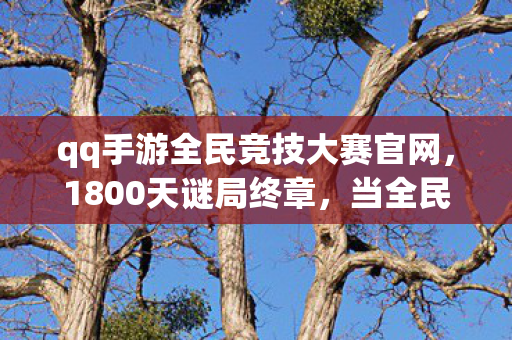 qq手游全民竞技大赛官网，1800天谜局终章，当全民竞技的代码长出血肉