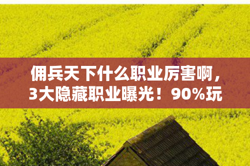 佣兵天下什么职业厉害啊，3大隐藏职业曝光！90%玩家不知的辛酸逆袭路