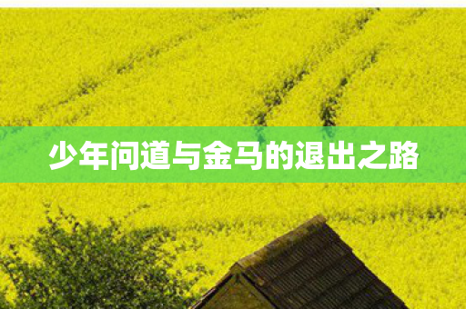 少年问道与金马的退出之路 少年问道与金马的退出之路