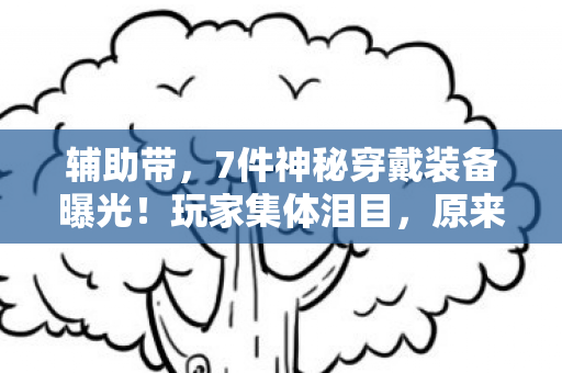 辅助带，7件神秘穿戴装备曝光！玩家集体泪目，原来我们被瞒了这么久