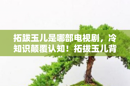 拓跋玉儿是哪部电视剧，冷知识颠覆认知！拓拔玉儿背后竟藏目瞪口呆的未触发炸弹
