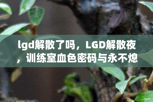 lgd解散了吗,LGD解散夜,训练室血色密码与永不熄灭的直播镜头,谁在操控死亡回放? lgd解散了吗,LGD解散夜,训练室血色密码与永不熄灭的直播镜头,谁在操控死亡回放?