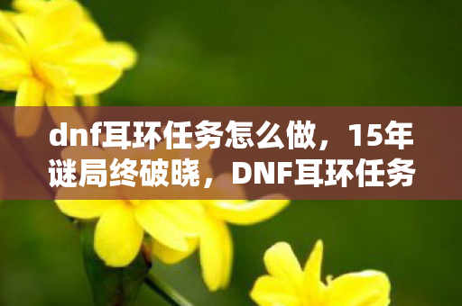 dnf耳环任务怎么做，15年谜局终破晓，DNF耳环任务背后的泪目史诗
