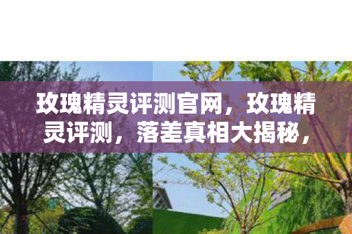 玫瑰精灵评测官网，玫瑰精灵评测，落差真相大揭秘，笑着笑着就哭了！