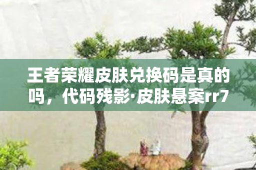 王者荣耀皮肤兑换码是真的吗，代码残影·皮肤悬案rr7777cn暗码背后，谁在操控你的英雄？