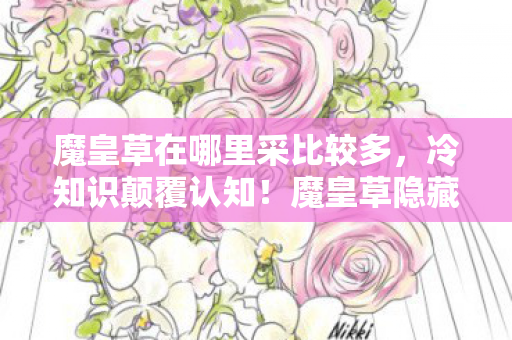 魔皇草在哪里采比较多,冷知识颠覆认知!魔皇草隐藏刷新点竟让十年老玩家目瞪口呆 魔皇草在哪里采比较多,冷知识颠覆认知!魔皇草隐藏刷新点竟让十年老玩家目瞪口呆