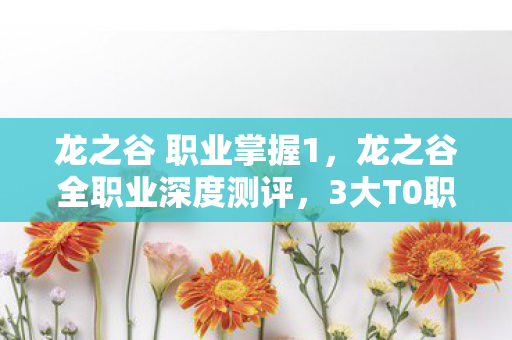 龙之谷 职业掌握1，龙之谷全职业深度测评，3大T0职业心得+新手避坑指南