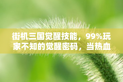 街机三国觉醒技能，99%玩家不知的觉醒密码，当热血撞碎996，谁在操控你的三国人生？