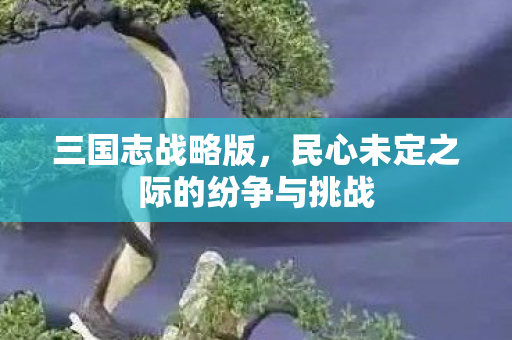 三国志战略版，民心未定之际的纷争与挑战