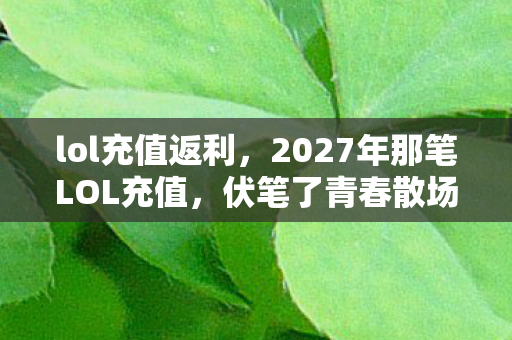 lol充值返利，2027年那笔LOL充值，伏笔了青春散场，如今想起鼻子一酸