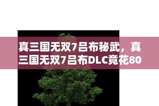 真三国无双7吕布秘武，真三国无双7吕布DLC竟花800万？会议室惊天内幕吓你一跳！